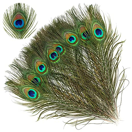 Vulevirtue 20 Stück Pfauenfedern,Echt Federn Deko,Federn Pfau Deko,Schöne Pfau Schwanzfedern,für Handwerk Party 25-30 cm