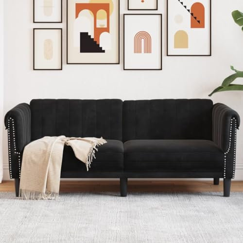 CINDERFUL Sofa 2-Sitzer Schwarz Samt,Elegantes SamtSofa für Zwei: Einladend gemütlich für Wohnzimmer und mehr Möbel, Wohnzimmer