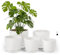 Bamworld Pot de Plantes d'Intérieur avec Drainage 5 Set 11.3cm/12.7cm/14cm/16cm/17.8cm Pots en Plastique pour Plantes d'Intérieur, Fleurs, Cactus
