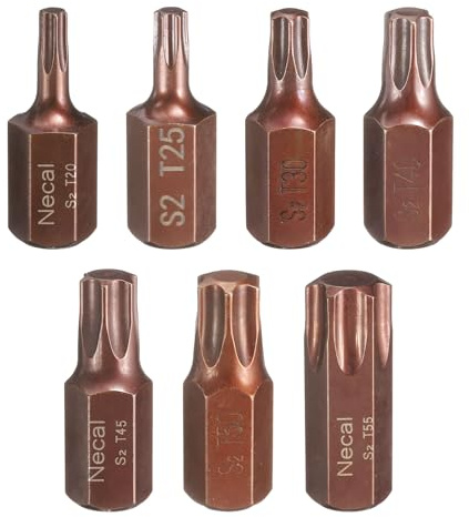 QUARKZMAN Torx Bit Set 10mm Torx T20-T55 Legierter Stahl 7-teilig | Profil Satz T20 T25 T30 T40 T45 T50 T55 Magnetisch Werkstatt KFZ