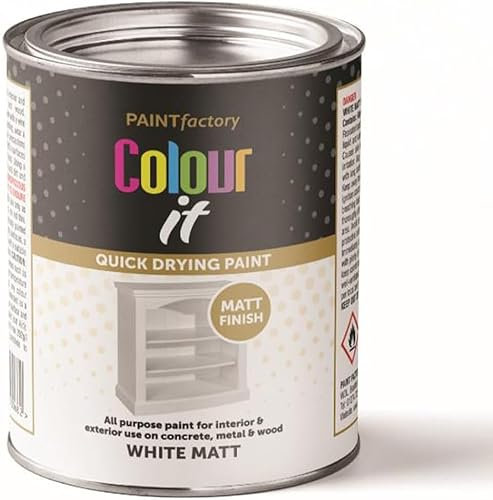 DUAYRA White Matt Paint Tin 300ml | All Purpose Fast Drying Effect | For Interior Exterior Use | Durable Long Lasting | Hardwearing Brush On Paints | Excellent Coverage | Metal, Concrete & Wood | (1)