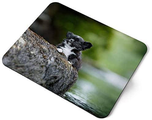 Tapis de souris d'ordinateur – Petit Chihuahua Chiot mignon pour la maison, le bureau - Accessoire de bureau en tissu souple - Grand ordinateur portable de 5 mm - Imprimé artistique ergonomique #46366