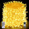 Auriostar Lichterkette Weihnachtsbaum 100M 1000LEDs - Lichterkette Strom Außen Innen mit Fernbedienung Timer, 8 Modi IP44 Wasserdicht Weihnachtsbeleuchtung Außen für Weihnachten Party Hochzeit Deko