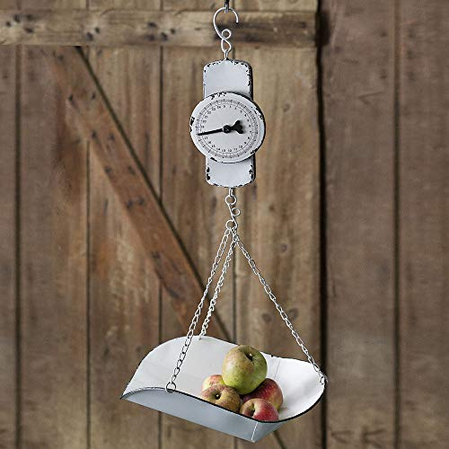CTW Home Collection 770199 - Bilancia da cucina da appendere, in metallo, 22,9 cm, colore: Bianco