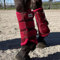 Horses 4-teiliges Set aus Netzstoff für Pferde, Pferde-Reitschutz, weich und strapazierfähig, maximaler Schutz vor Verletzungen und Schnitzereien