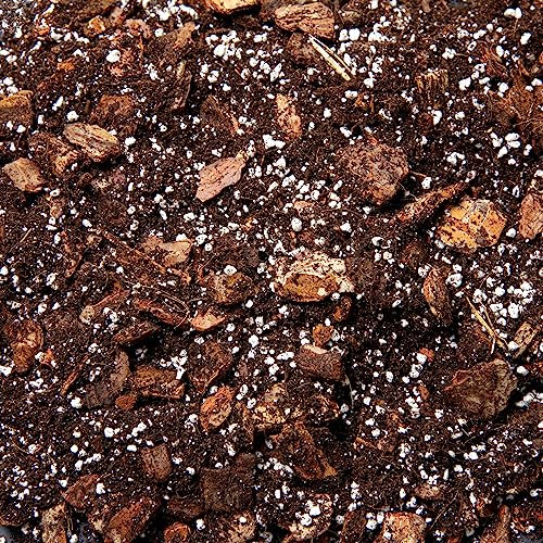 Premium Orchid Potting Mix – Fine Bark, Coco Coir & Perlite Orchid Soil for Repotting, Enriched with Organic Nutrients (5L)