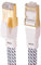 ULTRICS Cat 8 Ethernet Cable 2M, High-Speed 40Gbps 2000MHz Braided Flat Network Cable, RJ45 STP Shielded LAN Cable, CAT8 Internet Cable Compatible with PC Laptop PS5, Xbox, Modem, Router, Switch, TV