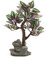 sourcing map Aquarium Fischglas Dekor Pflanze Plastik Baum Aqua Landschaft Ornament/Stand DE de