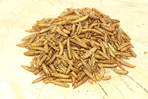 Futterbauer 10kg Soldatenfliegenlarven getrocknet, Premium Vogelfutter, Fischfutter, Futter für Reptilien und Nager, Proteinreiches Naturfutter wie Mehlwürmer