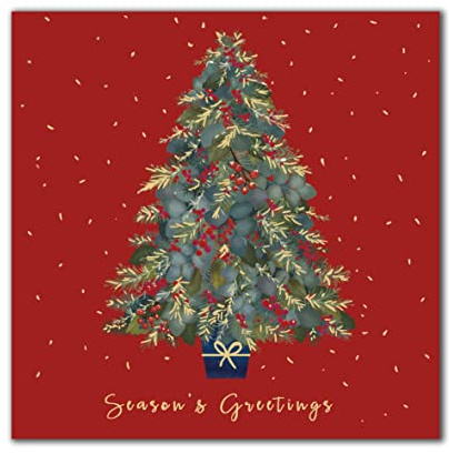 Pack of 8 Festive Christmas Tree In Aid Of Mind Charity Christmas Cards Xmas Cards 557015