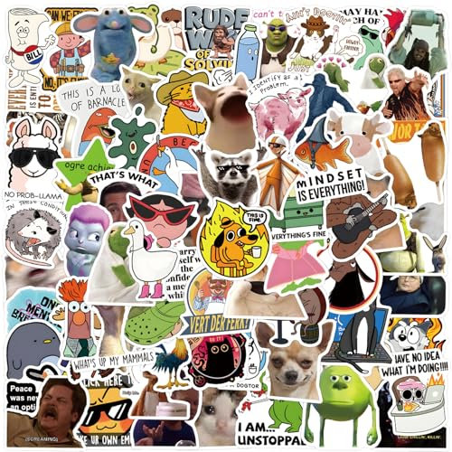 DAVBNM 110 Pcs Funny Stickers for Adults, Funny Meme Stickers, Decals Graffiti Colorful Waterproof Vinyl Sticker for Laptop, Computer, Phone, Water Bottle, Teens and Adults