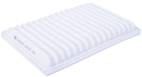 Castrol Filters CA0106 Air Filter