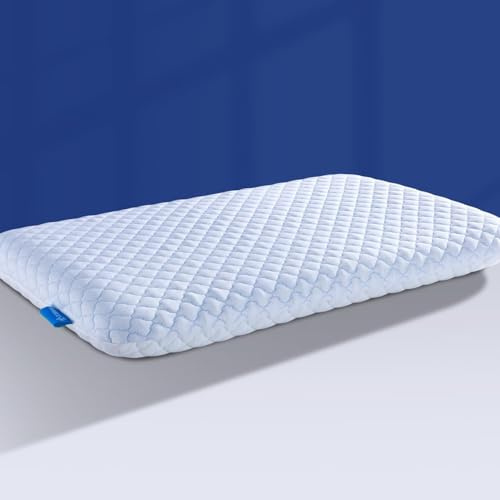 Hapiclody Flaches Kopfkissen aus Memory Foam, Dünnes Kissen für Bauch- und Rückenschläfer, Kühlend & Atmungsaktiv, Abnehmbarer Bezug Waschbar, 40x60 cm