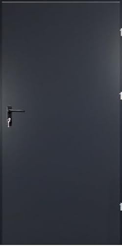 Stahl-Außentüren, Garagentür Mehrzwecktür Kellertür, Türen für Wirtschaftsräume (60-690 x 2070 mm Rechts anthrazit RAL 7016)