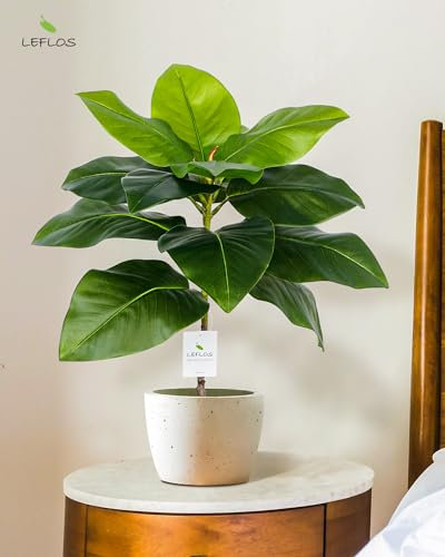 Leflos 60cm Künstlicher Magnolienbaum für den Innenbereich, Realistische Tropische Magnolienpflanze im weißen Topf, deko für Wohnzimmer, Büro, Fest & Party