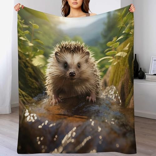 Igel Decke Decke Dicke Kuscheldecke Mit 3D Muster Fleece Warm & Weich Flauschige Flannel Decke, Vier Jahreszeiten Bett Sofadecke （130×150cm）