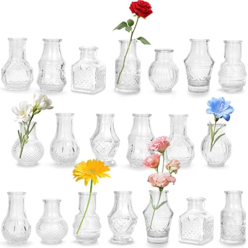 20 Stück kleine vasen, Mini Vasen Set für Tischdeko Vintage, für Hochzeit Party Geburtstag Home Wohnzimmer Tisch Deko Festtagsgeschenk Verschiedene Modelle