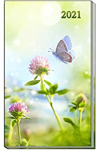 Trötsch Taschenterminer 2021 Schmetterling: Wochenkalender (Taschenkalender)