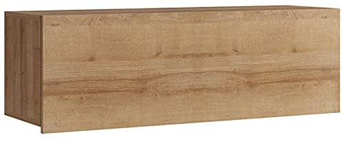 RAVIO Hängeschrank Fango 1-Türig Bücherregal Wandregal Klapphängeschrank Wandschrank Küchenschrank Hängeregal Wohnzimmer Hangeboard Regal (Eiche Gold)