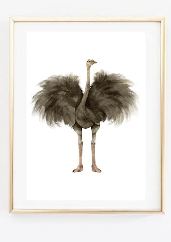 Din A4 Kunstdruck ohne Rahmen - Vogel Strauß - Afrika - Aquarell - Poster Druck Bild