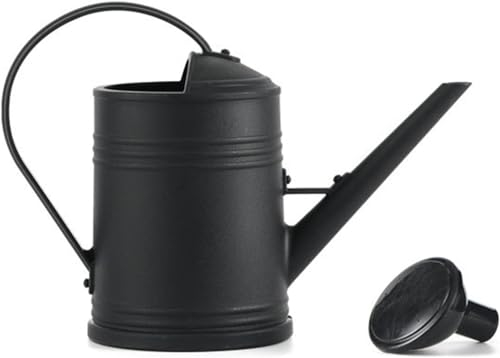 Youning Arrosoir de jardin 2 l - Petit arrosoir pour plantes d'intérieur - Avec douchette amovible - En plastique - Pour l'intérieur et l'extérieur - Noir