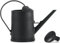 Youning Arrosoir de jardin 2 l - Petit arrosoir pour plantes d'intérieur - Avec douchette amovible - En plastique - Pour l'intérieur et l'extérieur - Noir