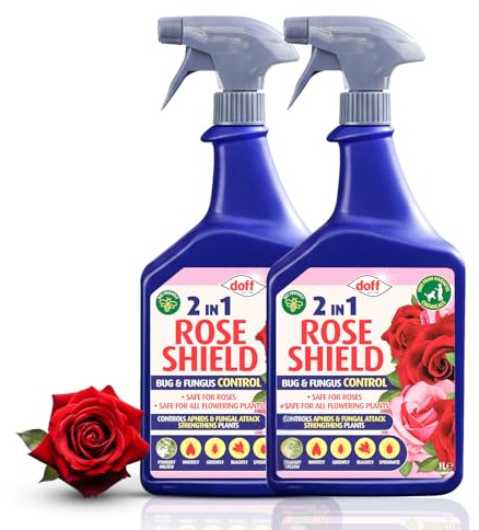 Quebec Rose Shield Ultra Spray 2 in 1 Rose Shield Bug & Fungus Control – Pesticide Free with Added Feed for Strong Growth, 1 Litre Ready to Use Spray (2)