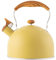 Dirfuny Whistling Tea Kettle - Retro 2.5L Stainless Steel, Yellow, Whistles When Water Boils