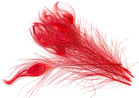 10 echte Pfauenfedern ca. 25-30cm (rot 250) // Pfau Federn Natur Auge Deko Pfauenaugen Schmuck