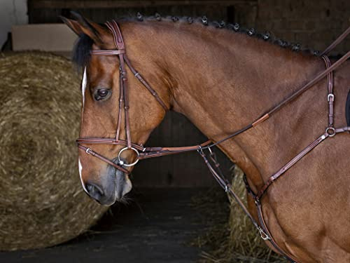 ERIC THOMAS HYBRID Vorderzeug , Warmblut, havana