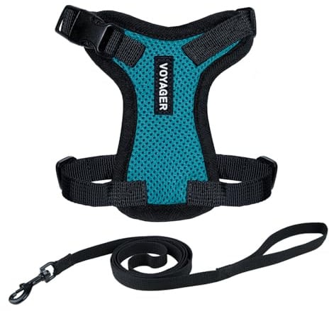 Voyager Step-in Lock Katzengeschirr und reflektierende Katzenleine mit Neoprengriff by Best Pet Supplies Unterstützt kleine, mittelgroße + große Katzenrassen, Türkis Scharzwer Rand, size XXXS 1,5 m