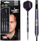 Bull's NL Steel Darts Dirk Van Duijvenbode Aubergenius The Titan 80% Tungsten Steeltip Darts Steeldart (22 Gramm)