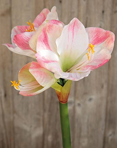 artplants.de Künstliche Amaryllis YOLANTE, rosa-weiß, 70cm, Ø23cm - Textil Amaryllis
