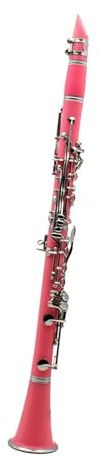 Klarinette Klarinette B Flat 17-Tasten ABS-Harzrohrkörper Anfänger- Und Erwachsenen-Testinstrumentenset(G)