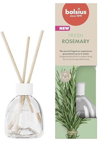 Bolsius - Duft Diffusor - Rosmarin - 1 Stück - 60 ml - Duftabgabe von bis zu 6 Wochen - Enthält natürliche Extrakte