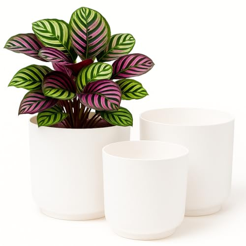 Home Garden Ornaments – Luna Übertopf 3er-Set Aus Kunststoff, Moderner Blumenübertopf & Blumentopf Für Innenräume, Matt, Ohne Abflusslöcher (Weiß, 13/15/17 cm)