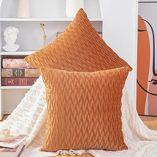 Madizz 2er Set Samt Dekorativ Zierkissenbezüge Luxus Stil Kissenbezug für Sofa für Schlafzimmer Orange 45x45 cm Quadrat
