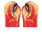Gants de four fantaisie en forme de griffe de homard et de poisson coloré résistant à la chaleur en coton épais pour four à micro-ondes, gants de cuisine anti-brûlure, gants de cuisine à vapeur, gants