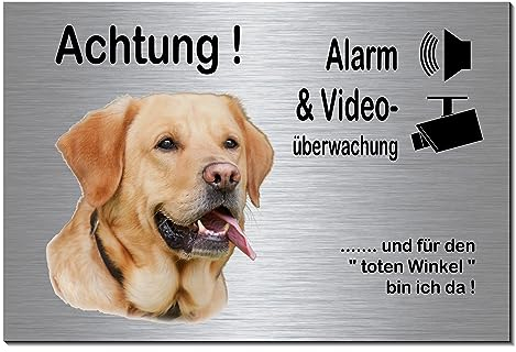Labrador blond-Alarm + Videoüberwachung-Hund-Schild-Hundeschild-300 x 200 x 3 mm-Aluminium Edelstahloptik-Hunde-Tierschild-Warnschild-Hinweisschild (133-44 mit 4 Löcher)