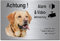 Labrador blond-Alarm + Videoüberwachung-Hund-Schild-Hundeschild-300 x 200 x 3 mm-Aluminium Edelstahloptik-Hunde-Tierschild-Warnschild-Hinweisschild (133-44 mit 4 Löcher)