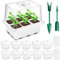 YAUNGEL Bandejas Semilleros de Germinacion, 10Pcs 60 Grande Agujeros Mini Invernadero Germinador de Semillas, Bandeja de Cultivo con Tapa Ventilación y Ventana Ajustable, Blanco