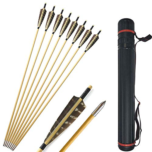 SHARROW 12 Stück Holzpfeile für Bogenschießen 31 Bogenpfeile mit Pfeilköcher Fletching 5 Zoll Naturfedern Pfeile Holz in Handarbeit Holz Pfeilschaft für Langbögen Recurve Bögen (Typ 1)