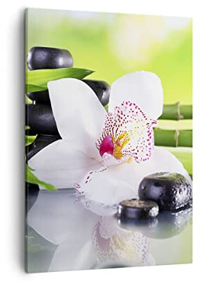 Bilder auf Leinwand blume orchidee Leinwandbild mit Rahmen 50x70cm Wandbilder Dekoration Wohnzimmer Schlafzimmer Küche Deko Groß Wanddeko Bild Wand Kunstdruck Art Wall Decor Canvas PA50x70-3659