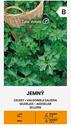 Zalia stotele | SELLERIE JEMNÝ samen | Gemüsesamen | Frühe, sehr produktive Sorte | Pflanze samen | Sellerie samen | Gardensamen | 1 Pack