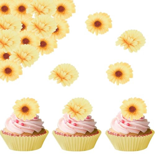 Catelves Essbare Gänseblümchen Tortendeko Blumen,48 Stück Essbare Blumen für Torte,Essbare Blüten Cupcake Deko,Esspapier Blumen Deko Torte Essbar,Kuchen Deko Blumen,Cupcake Topper Blumen Geburtstag