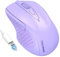 TechRise Bluetooth Mouse, Rechargeable Wireless Mouse (BT5.0/3.0 & 2.4G), 4800DPI Adjustable, 8-Button Silent Computer Mice, USB Ergonomic Wireless Mouse for Laptop PC Mac, Light Purple