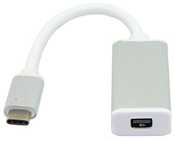Cablecc Câble adaptateur USB-C USB 3.1 Type C vers Mini DisplayPort DP 1080p HDTV avec boîtier argenté pour MacBook 2015 30,5 cm