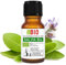 Salbei Öl Bio Ätherisches Öl 100% Reines 10 ml - Aromatherapie Kosmetik Therapeutische - Laborbio