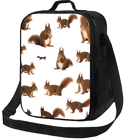 FZGGWYHL Süße Eichhörnchen bedruckte Schultertasche, Bento-Tasche, wiederverwendbare Lunchtasche