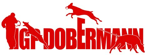 siviwonder Auto Aufkleber IGP ST Schrift Dobermann KUPIERT Dobi Autoaufkleber K9 Hundeanhänger ehemals IPO Hundesport Hundemotiv rot